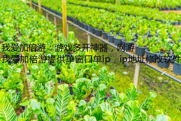 我爱加倍游：游戏多开神器，网游加速器轻松过检测，畅玩我爱加倍游！