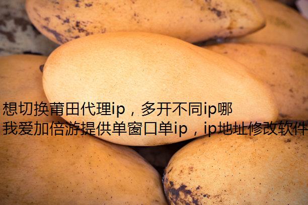 лip࿪ͬipĿƼ