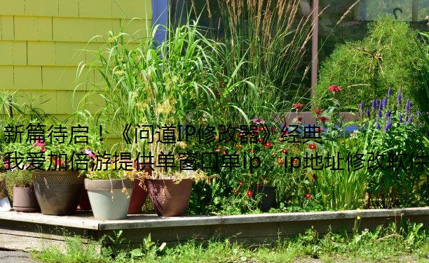 新篇待启！《问道IP修改器》经典版开年数字大服2025今日正式开启抢注！