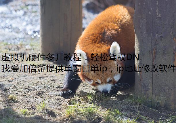 Ӳ࿪̳̣ɼԦDNFCFϷ