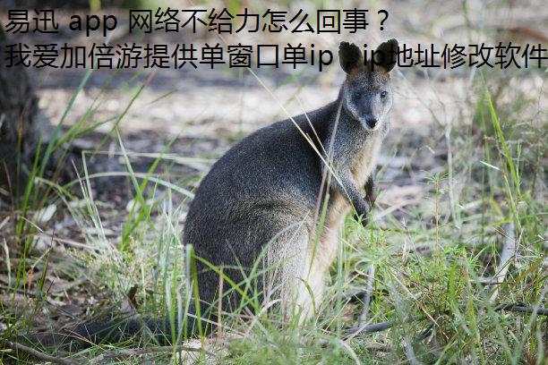 Ѹ app 粻ô£