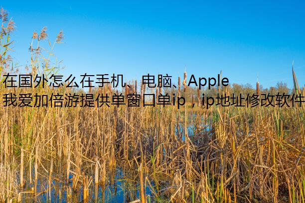ڹôֻԡApple TVϿƵ