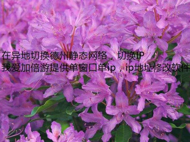 лݾ̬磬лIPҰӱΣ