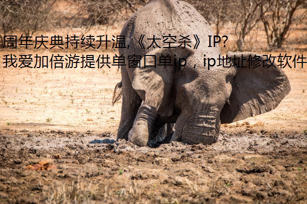 ,̫ɱIPлڶ