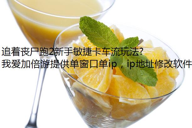 ׷ɥʬ2ݿ淨·രڵip